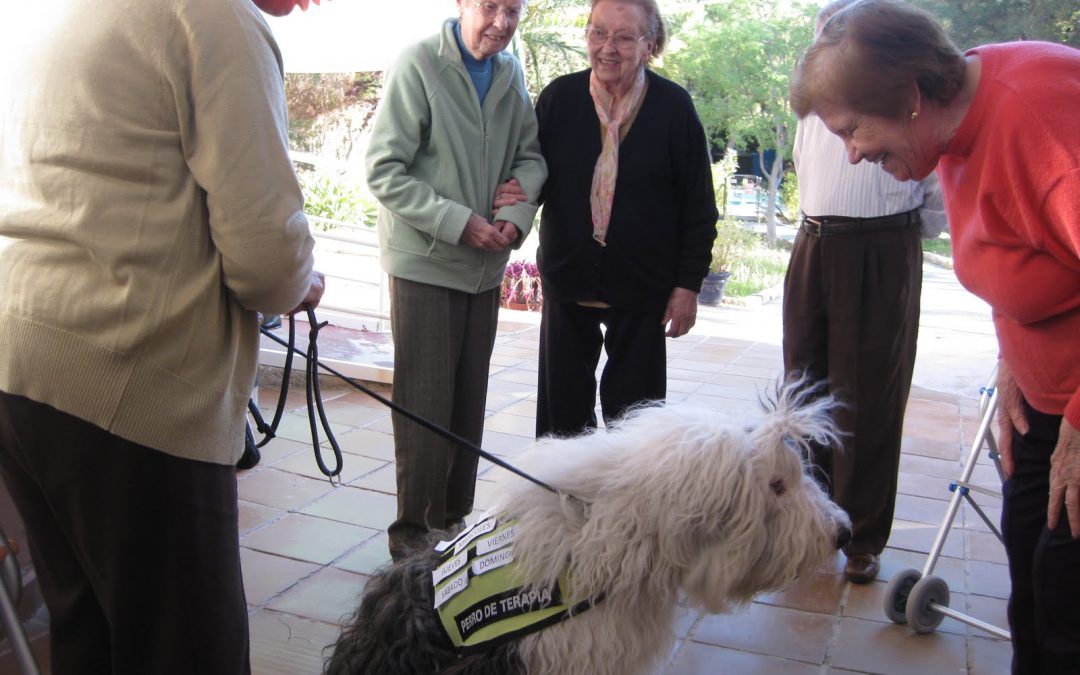 Terapia con Mascotas: trabajando con Nacha