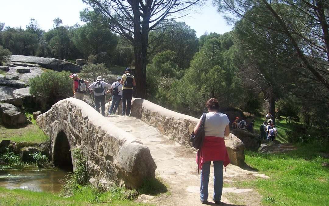 Por Pascua, ¡a comerse la mona!