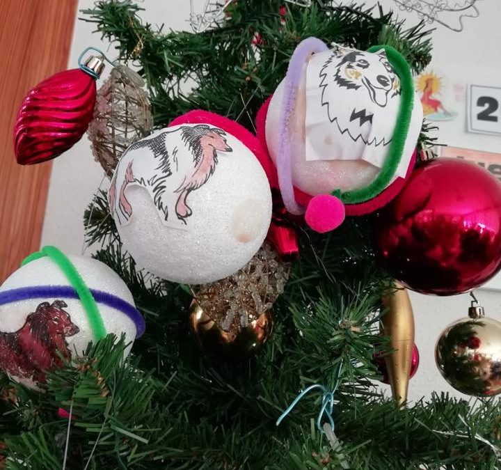 Preparando la Navidad en El Paular