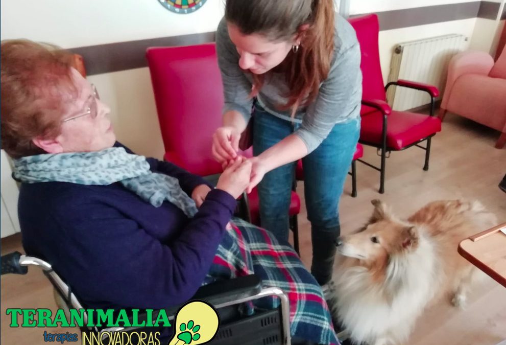 Estimulando la imaginación de las personas mayores con ayuda de perros de terapia.