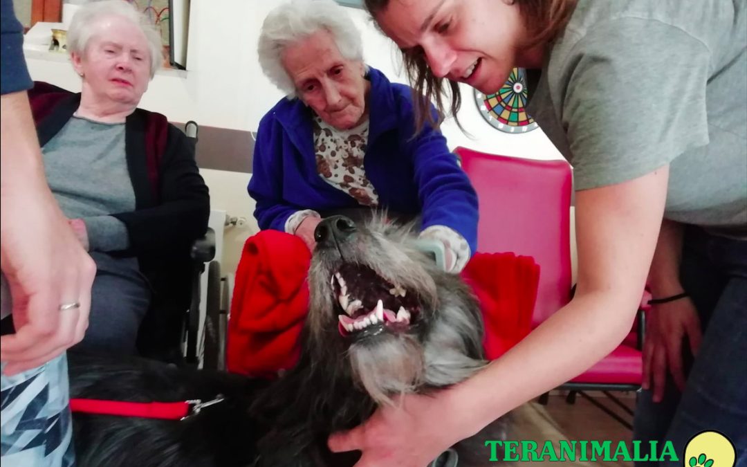 Hoy nos visita Golfo para trabajar la memoria