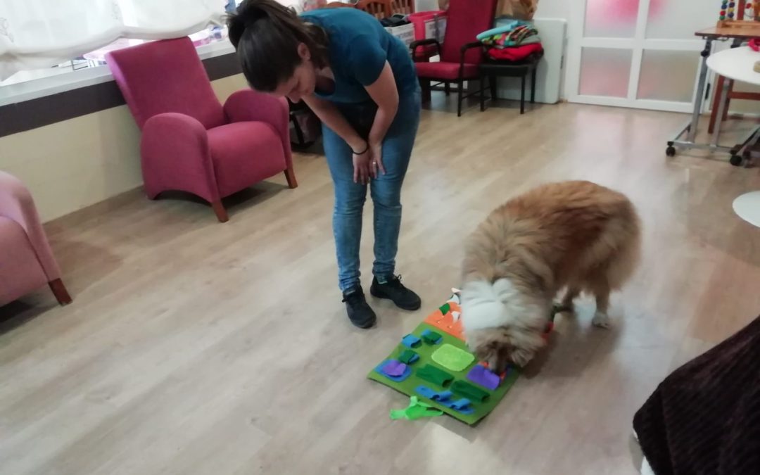 Ejercitando el cerebro con ayuda de Mascotas