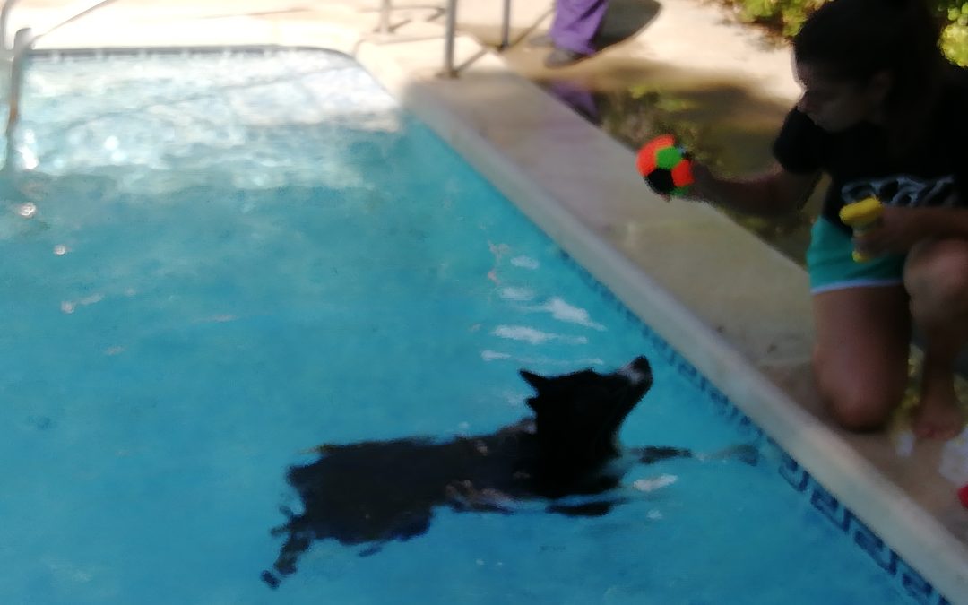 ¡Nos despedimos del verano!