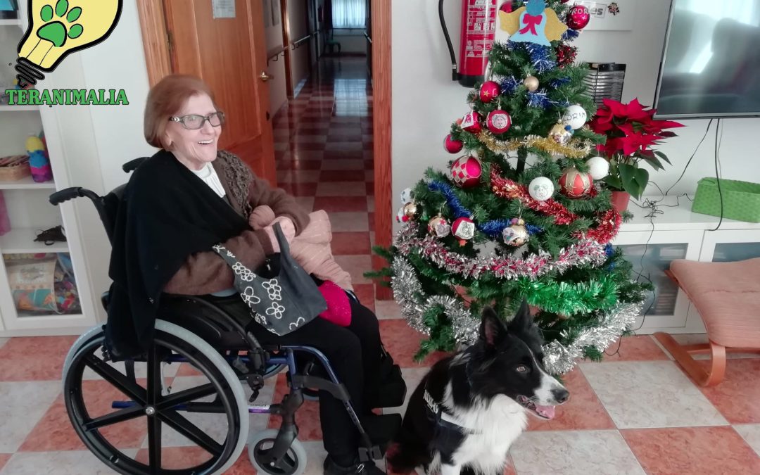 De nuevo llega la Navidad al Paular