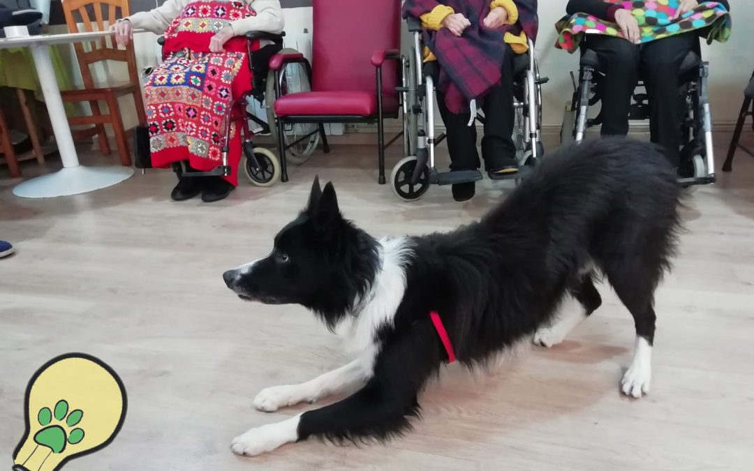 Trabajando la memoria con Oreo